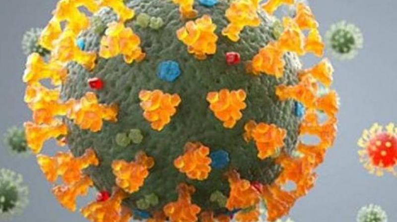 Coronavirus Coronavirus