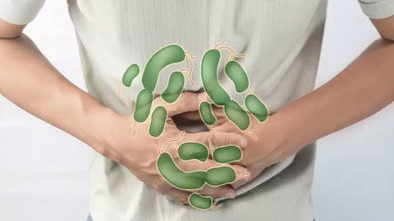 Food Poisoning Food Poisoning