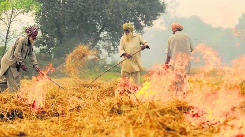 Increase in stubble burning cases in Punjab