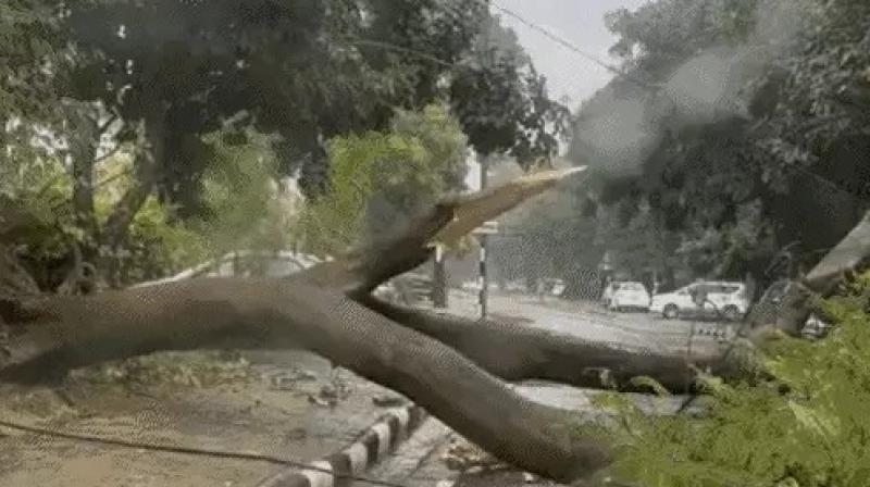 Chandigarh Rain News