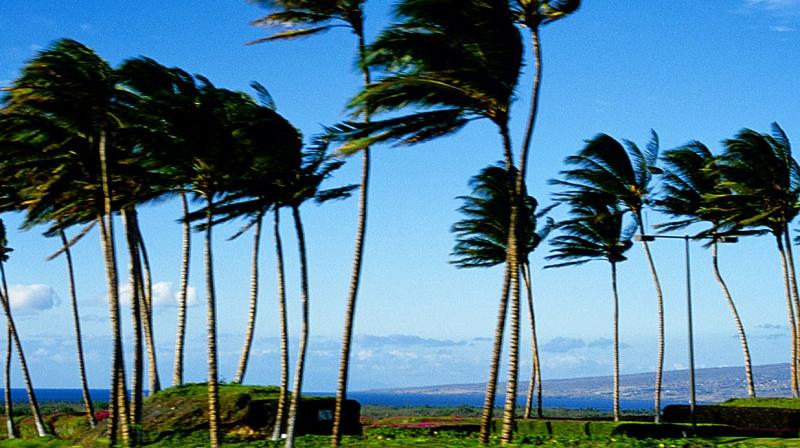 windy whether windy whether
