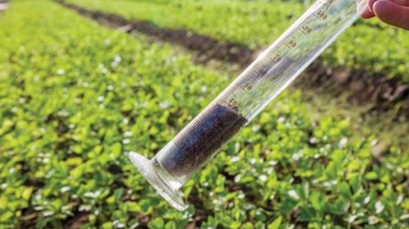 soil test soil test