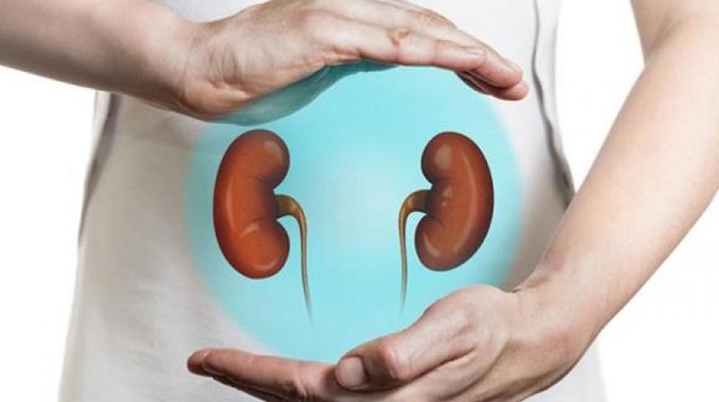 Health News Health News