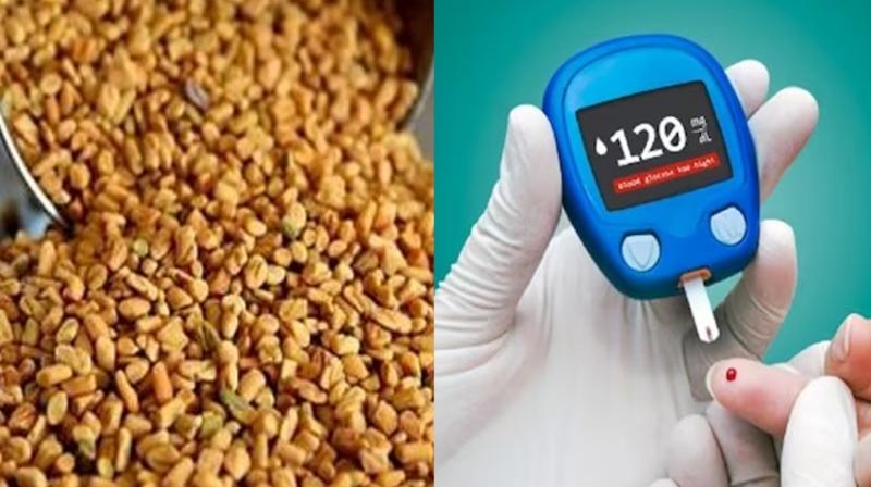 Diabetes will go away with fenugreek Health News