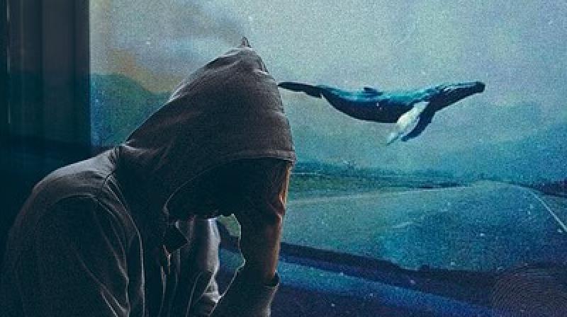 Students death due to Blue Whale America News in punjabi Students death due to Blue Whale America News in punjabi