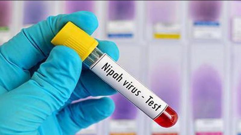 Nipah virus case in Kerala Nipah virus case in Kerala