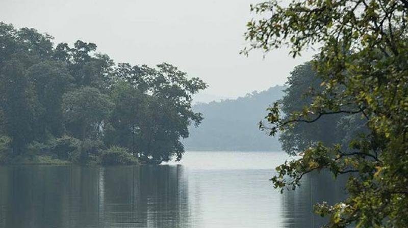 Tansa wildlife Santuary Tansa wildlife Santuary