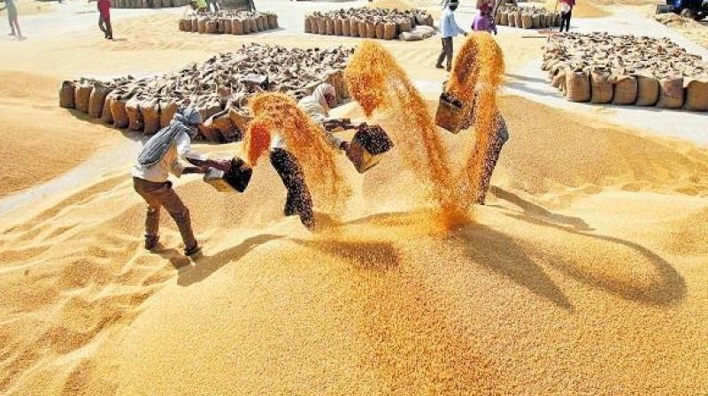 Grain Market (file photo) Grain Market (file photo)