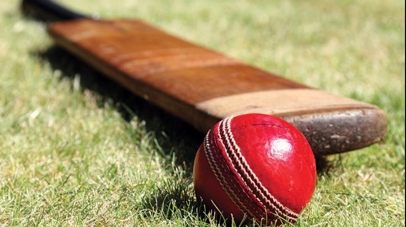 Cricket Cricket