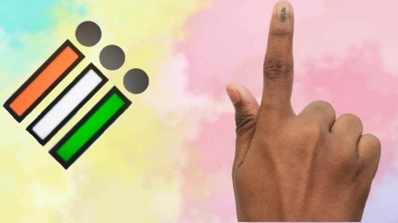 High Court stay on Panchayat election of Papadi village High Court stay on Panchayat election of Papadi village