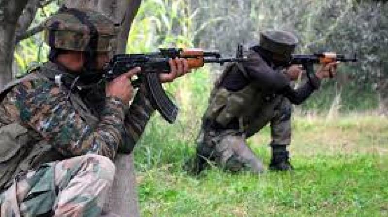 Five Maoists Killed in Encounter with Security Forces in Odisha
