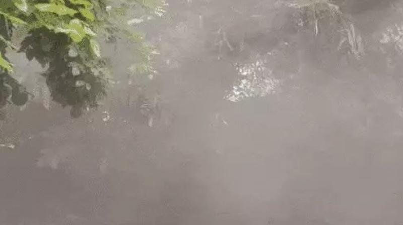 Chandigarh crockery store fire Chandigarh crockery store fire