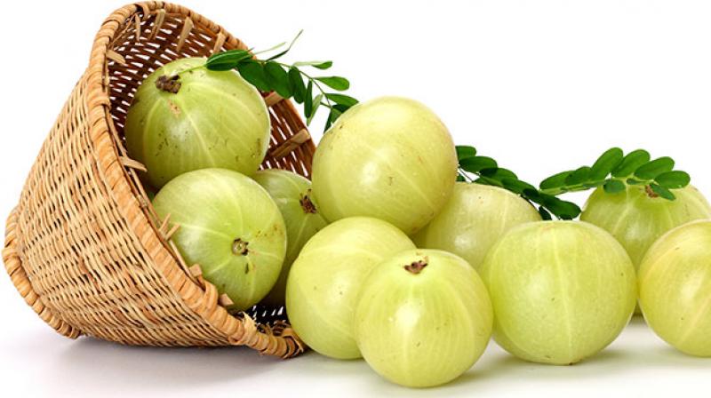 indian gooseberry