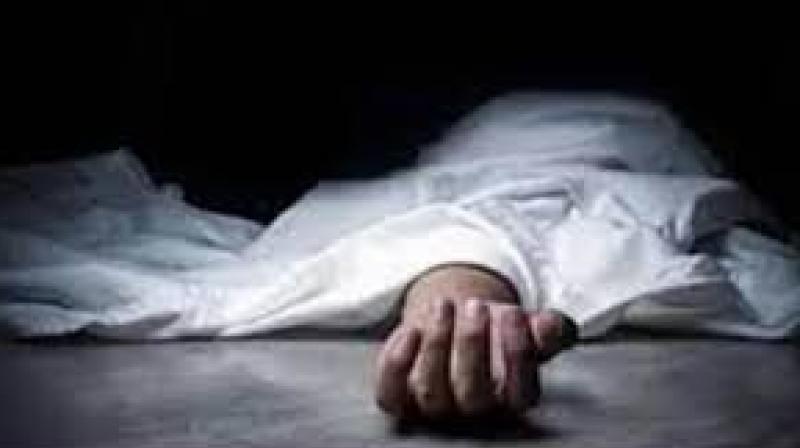 'Chitte' destroyed another laughing family, lost its life due to overdose 'Chitte' destroyed another laughing family, lost its life due to overdose