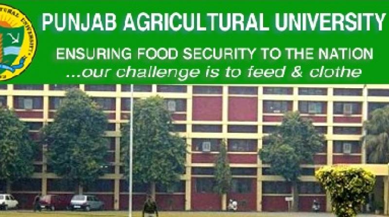 P.A.U. Jobs acquired by agricultural engineers