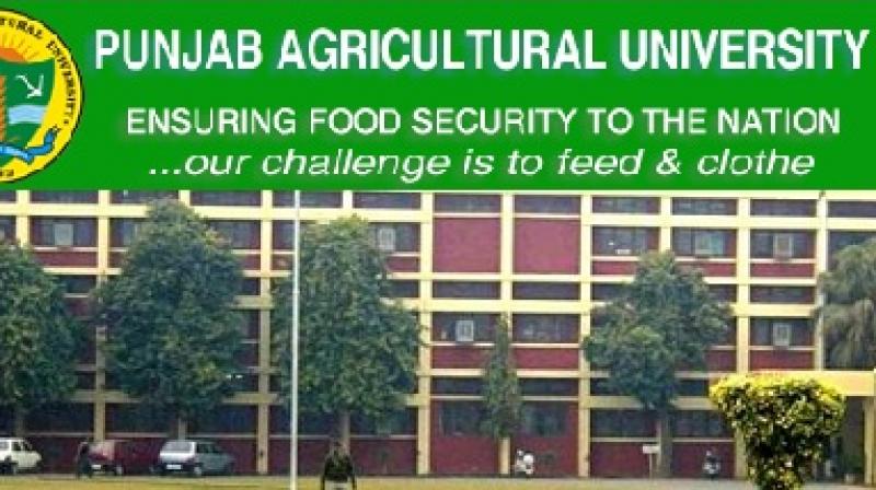 P.A.U. Jobs acquired by agricultural engineers P.A.U. Jobs acquired by agricultural engineers