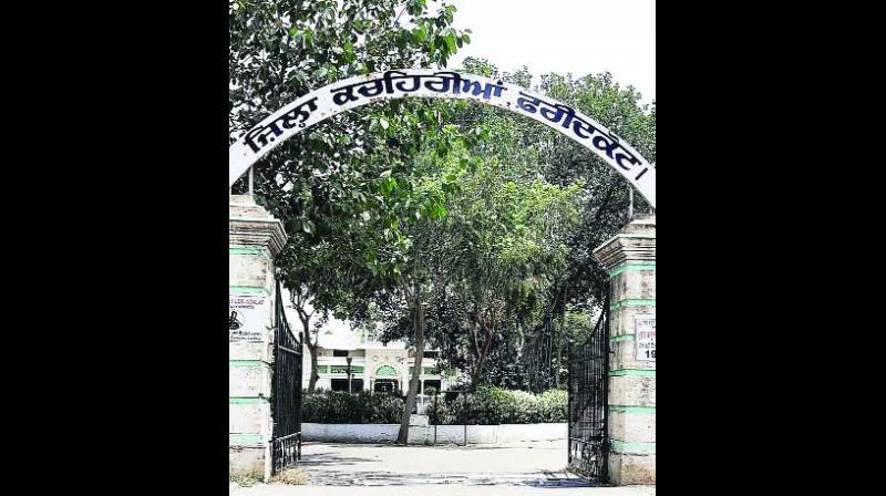 image image