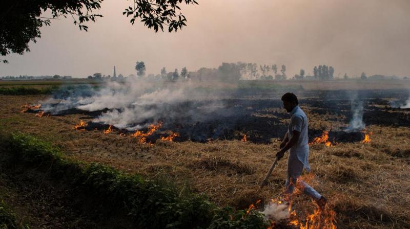 Straw burning