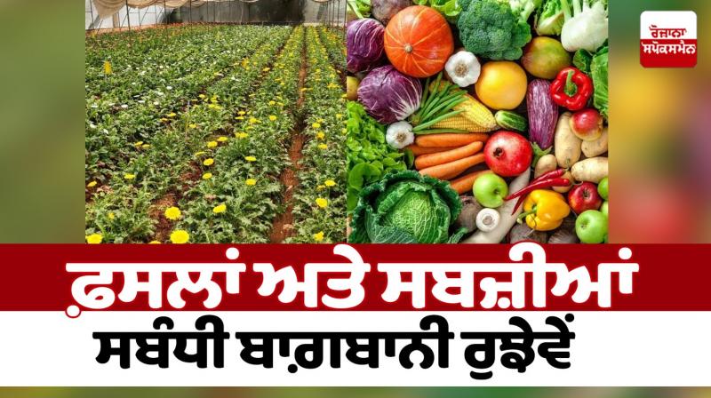 Horticultural activities related to crops and vegetables Farming News Horticultural activities related to crops and vegetables Farming News