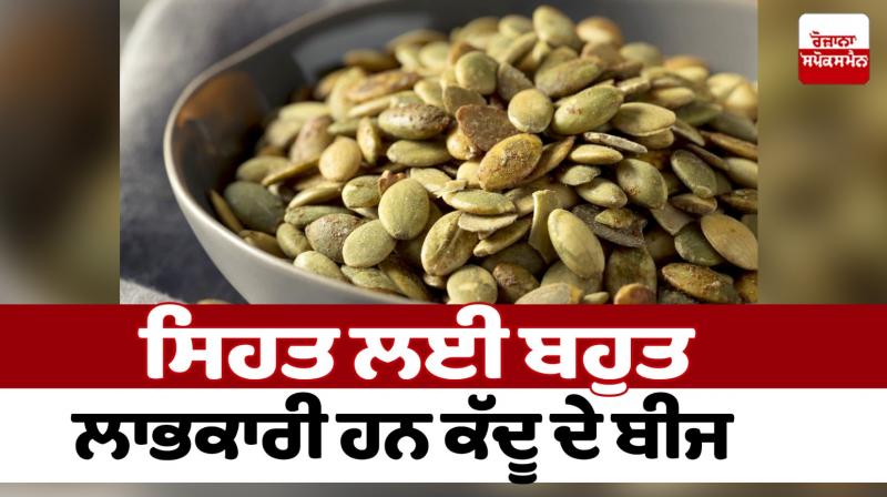 Pumpkin seeds are very beneficial for health Pumpkin seeds are very beneficial for health