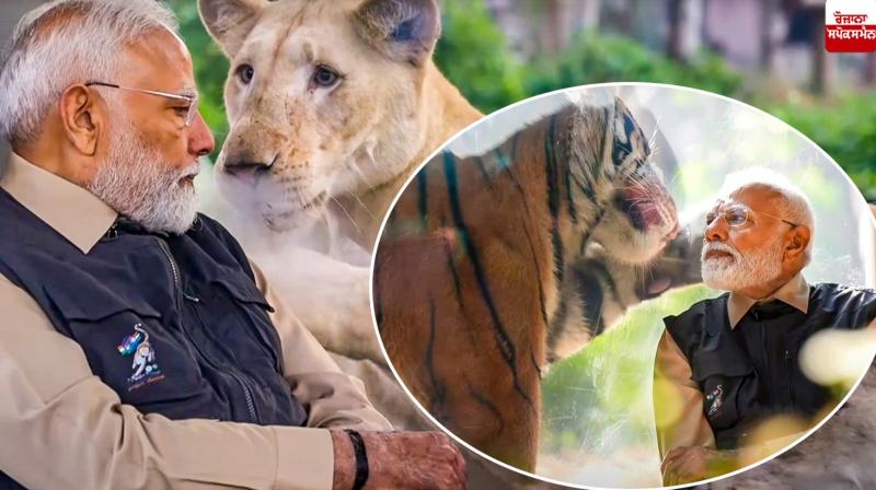 PM Narendra Modi inaugurated the Vantara Wildlife Center in Gujarat News PM Narendra Modi inaugurated the Vantara Wildlife Center in Gujarat News