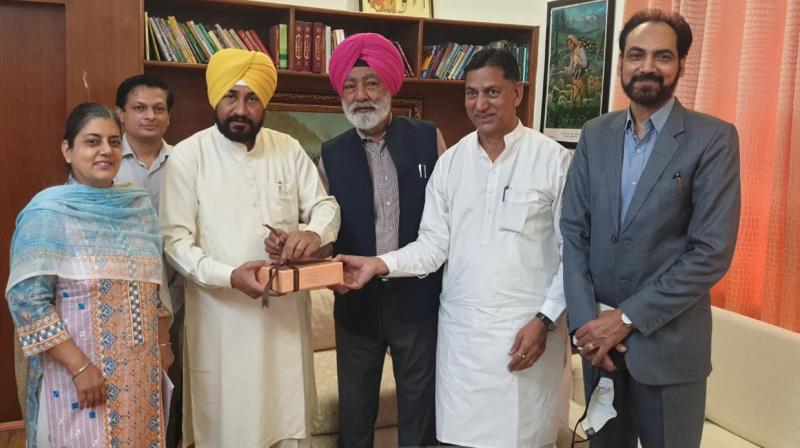 CM Punjab CM Punjab