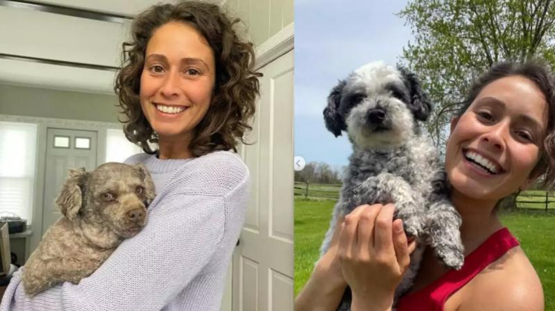 Lawyer quits job to become pet psychic and speak to animals Lawyer quits job to become pet psychic and speak to animals