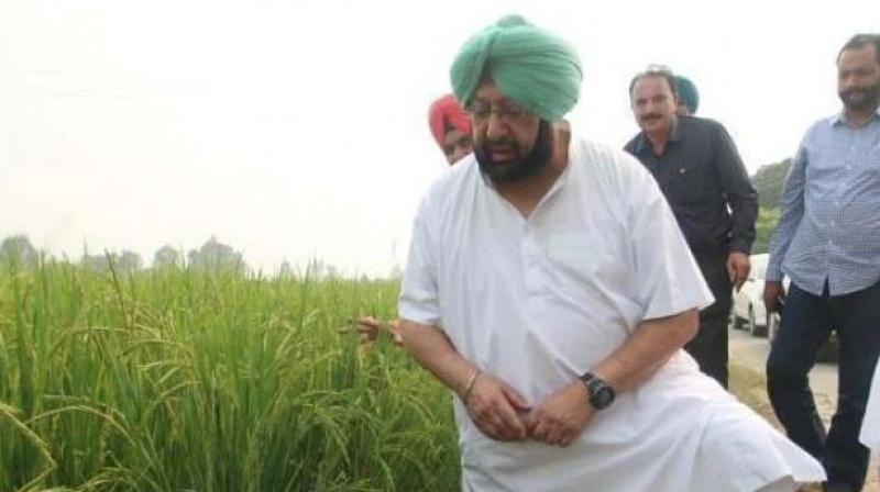 Captain Amrinder Singh Captain Amrinder Singh