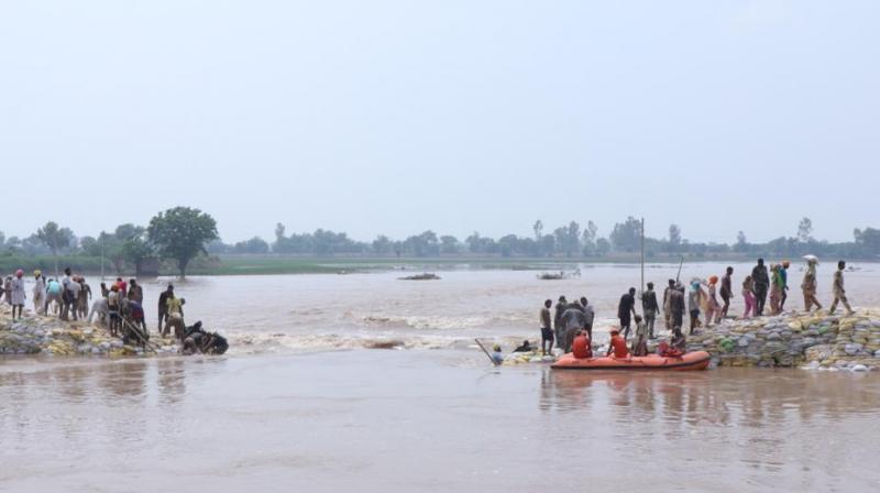 Flood In Ghaggar River