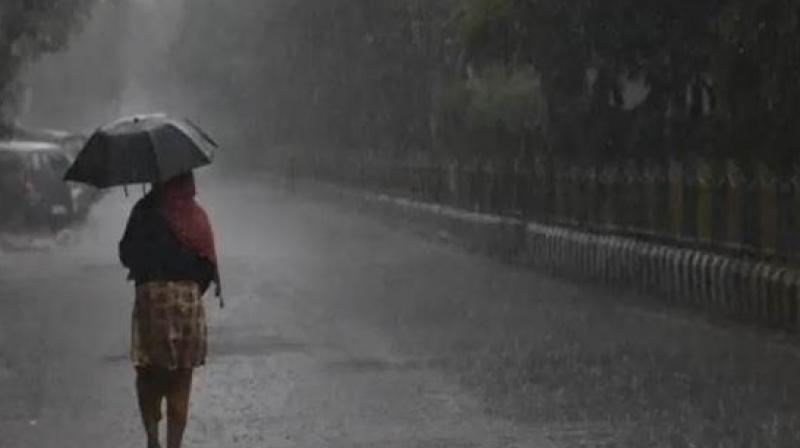 Monsoon Monsoon