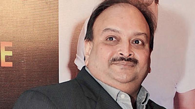 Mehul Mehul