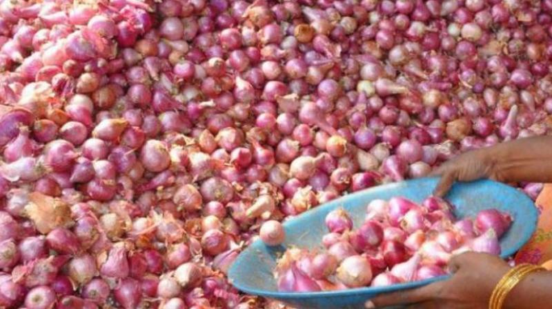 onion onion