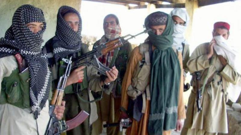 Terrorists Terrorists