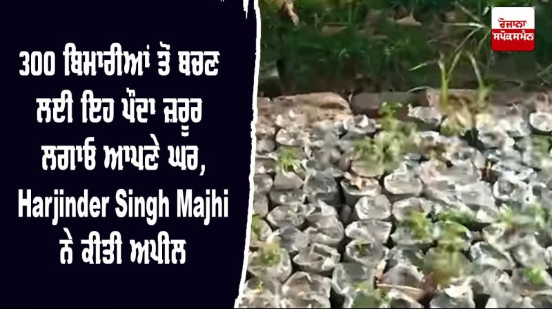 Plant Trees Trees Plantation Rid Of Disease Bhai Harjinder Singh Majhi Plant Trees Trees Plantation Rid Of Disease Bhai Harjinder Singh Majhi