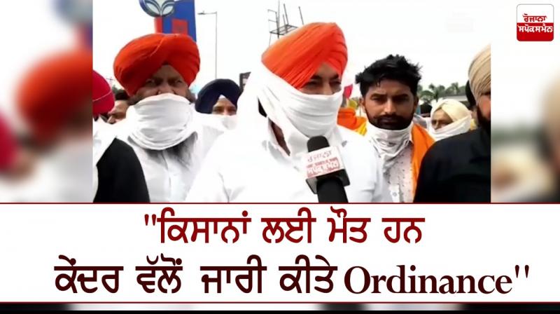 Farmers MSP Ordinance Farmers Captain Amarinder Singh Bhagwant Mann Farmers MSP Ordinance Farmers Captain Amarinder Singh Bhagwant Mann