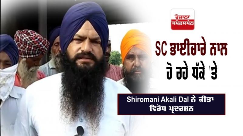 SC Community Akali Dal Sangrur Bhagwant Mann Gulzar Singh Ranike 