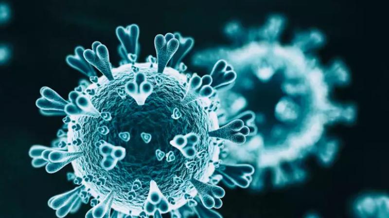 Corona Virus India Private hospital Corona Virus India Private hospital