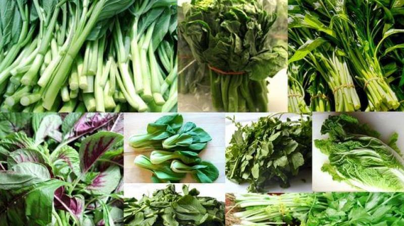 Green Leafy Vegetables Green Leafy Vegetables