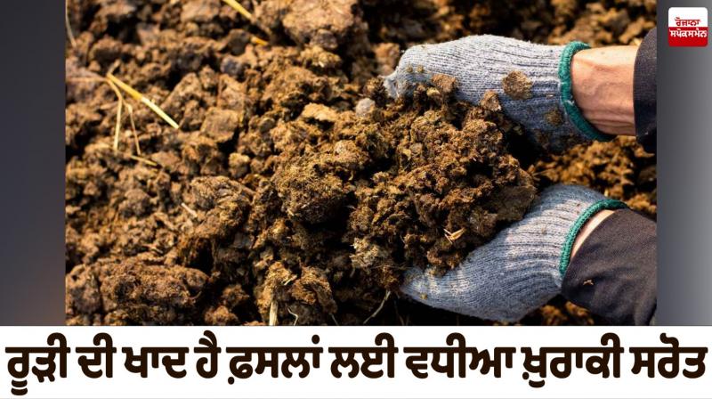 Manure is a good source of nutrients for crops Farming News Manure is a good source of nutrients for crops Farming News