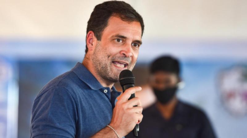 Rahul Gandhi Rahul Gandhi