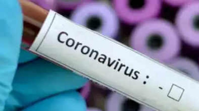 Corona virus Corona virus