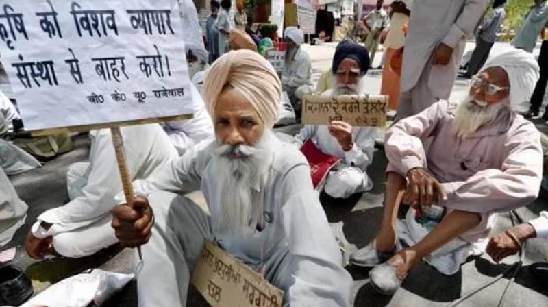 Farmer Protest 