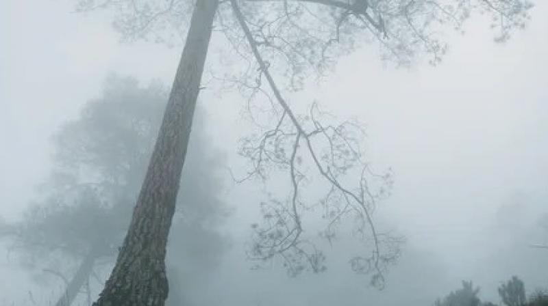 Uttarakhand Weather Update News