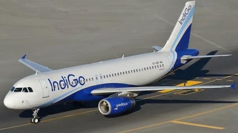 Indigo flight Indigo flight
