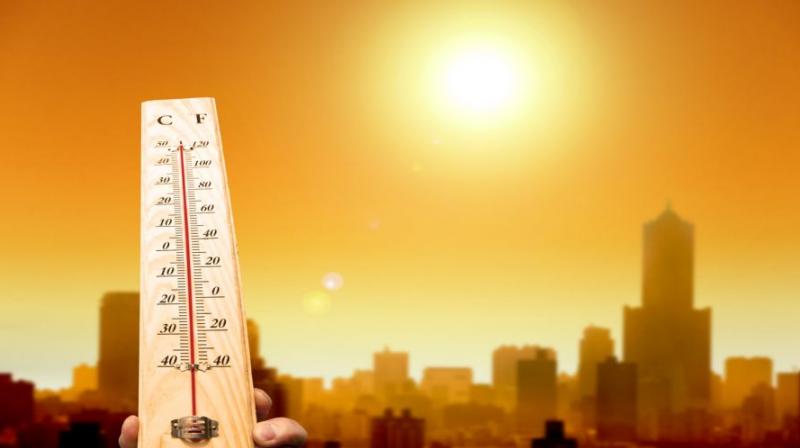 Punjab Weather Update Punjab Weather Update