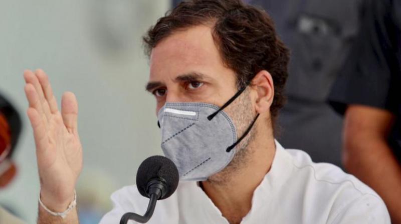 Rahul Gandhi Rahul Gandhi