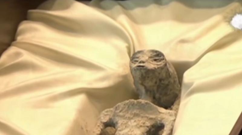 Two ‘non-human alien corpses’ unveiled in Mexico’s Congress: Report Two ‘non-human alien corpses’ unveiled in Mexico’s Congress: Report