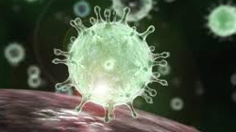 Corona Virus Corona Virus