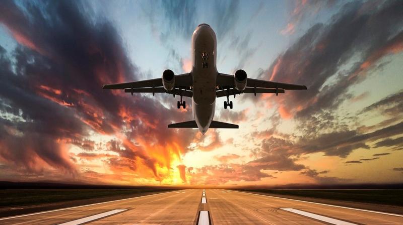 Flight Flight