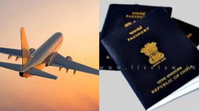 Immigration Company Immigration Company